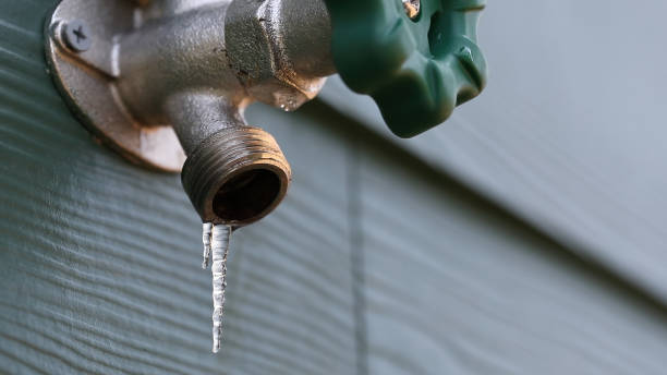 Best Clogged Drain Plumber  in Bensley, VA
